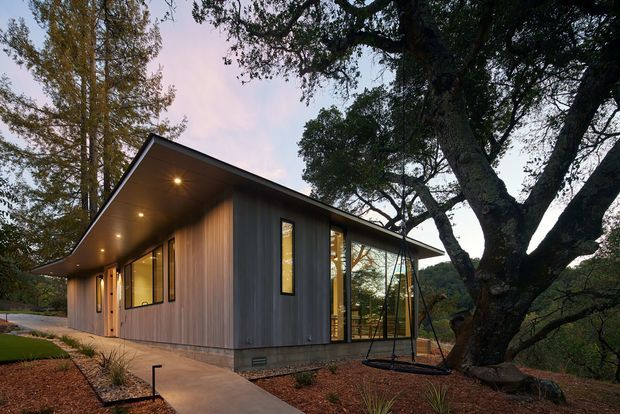 A compact contemporary single-storey pavilion set among mature trees, viewed from an exterior landscaped approach. The building has a sharply pitched asymmetrical roof with a deep overhang, warm timber soffit, vertical timber cladding, dark-framed glazing, and a concrete footpath leading to the entry. A suspended outdoor swing is visible beneath the glazed side area, with native-style planting and established woodland surrounding the structure.