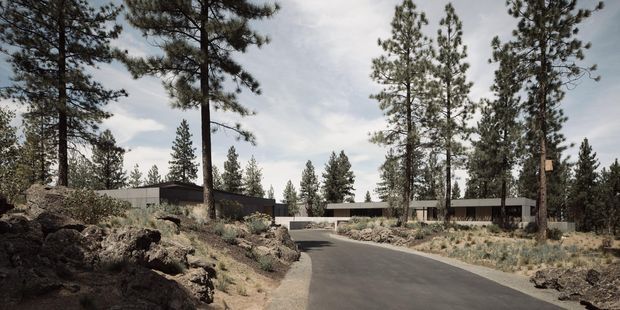 A low, elongated contemporary building complex sits among tall pine trees and rugged volcanic-looking rocks. A newly paved dark driveway curves through the natural, sparsely planted landscape toward the structure, which features long horizontal rooflines, dark cladding, and broad bands of glazing. The scene has a restrained, earthy palette and a quiet forest setting.