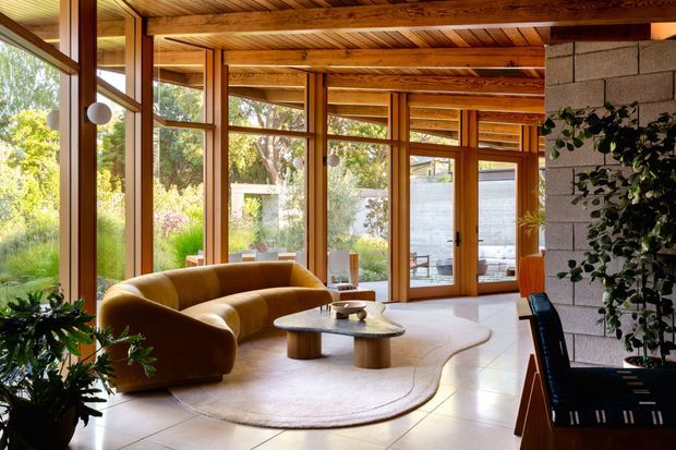 A warm, light-filled living room with extensive floor-to-ceiling timber-framed glazing opening toward a landscaped garden and patio. The room features a curved ochre sofa, rounded coffee table, pale organic-shaped rug, tiled floor, timber-lined ceiling with exposed structural beams, and a partially visible concrete-block feature wall with climbing greenery. The design has a strong mid-century modern influence with natural materials and indoor-outdoor connection.