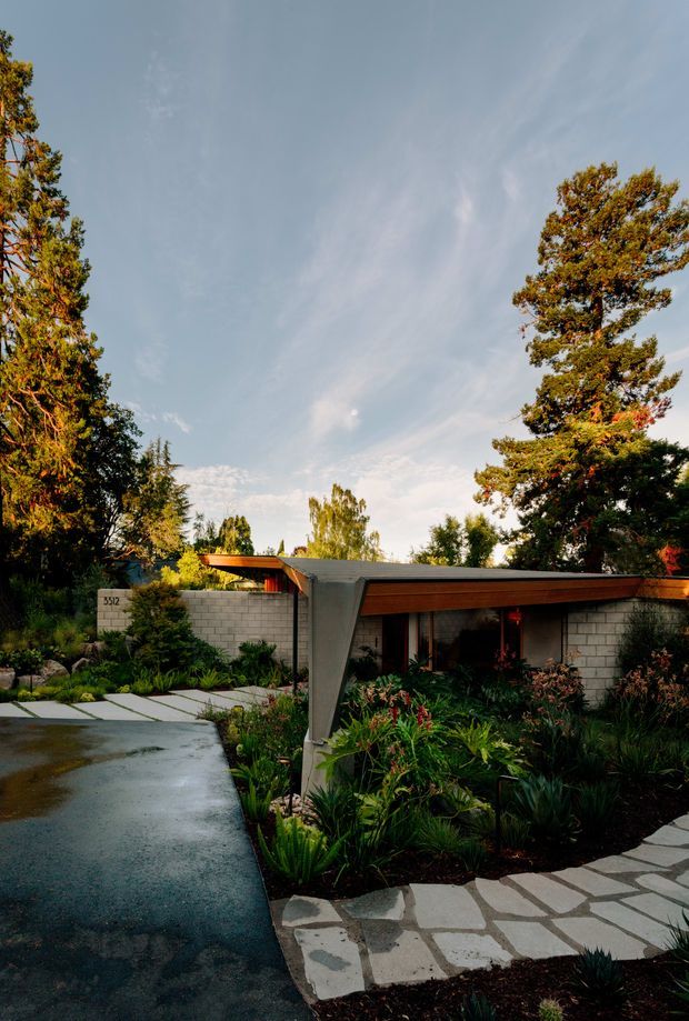 Exterior view of a low, single-storey mid-century-inspired home set within a mature landscaped garden. The facade combines pale concrete masonry walls, broad timber roof fascia and exposed timber detailing, with a sheltered entry and paved paths leading through dense planting. A flat or very low-pitched roof and strong horizontal composition are prominent.