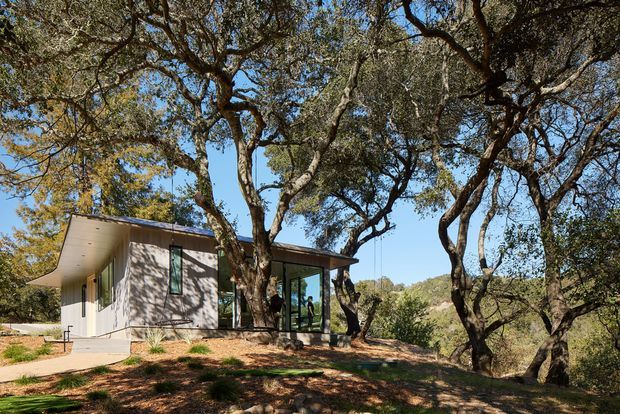 A low-slung contemporary pavilion-like house set among mature trees on a natural, gently sloping site. The building has light rendered walls, extensive floor-to-ceiling glazing, a broad shallow roof overhang, and a partially enclosed glazed corner. Concrete or pale paved paths connect the structure to the surrounding landscape, while exposed earth, rocks, and established woodland dominate the foreground and background.