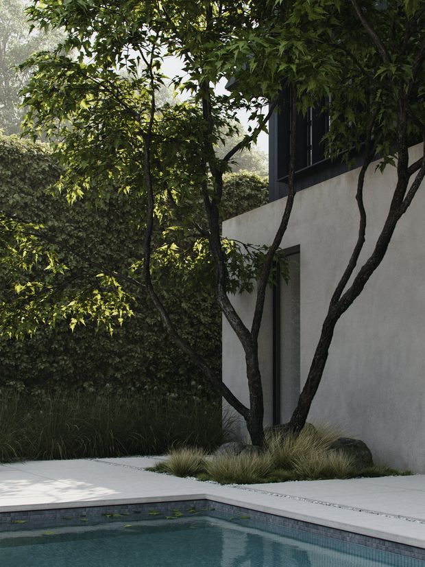 A tranquil landscaped courtyard beside a minimalist white-rendered building, with dark-framed vertical windows partly screened by mature trees and dense greenery. Ornamental grasses and rocks line a pale paved pool terrace, while the foreground shows the edge of a tiled swimming pool with calm blue-green water. The scene has a refined, natural, contemporary architectural character.