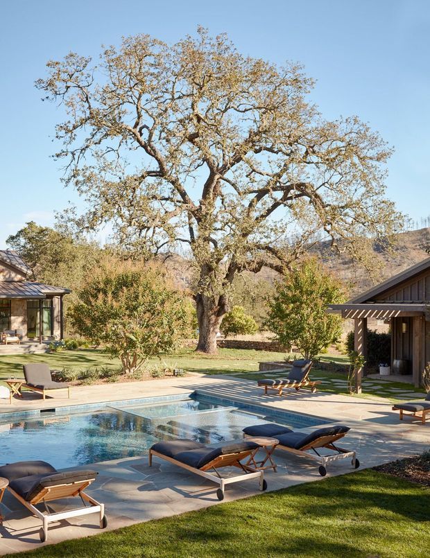 A sunlit landscaped courtyard with a rectangular swimming pool surrounded by pale stone paving and modern reclining loungers. A large mature deciduous tree dominates the garden, with low timber-clad or dark-roofed buildings around the edges and dry hills visible beyond. The setting has a relaxed resort-like outdoor atmosphere with strong indoor-outdoor connection.