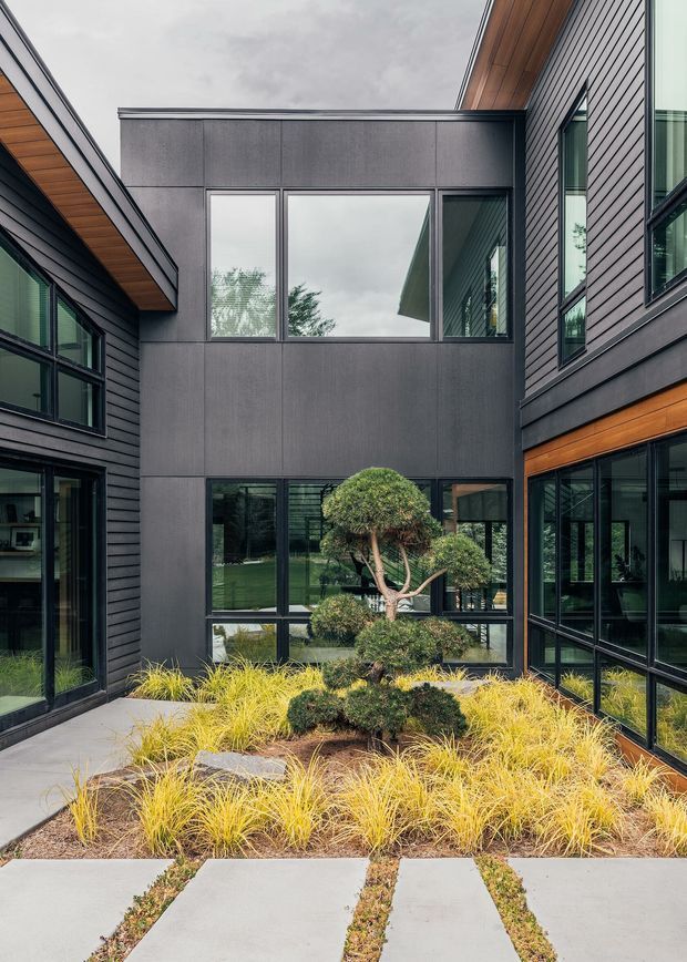 A contemporary multi-level courtyard viewed from an outdoor paved path, enclosed by dark horizontal cladding, charcoal panelled walls, extensive black-framed glazing, and warm timber soffits. The central courtyard contains a carefully clipped ornamental tree, shrubs, golden ornamental grasses, and large concrete stepping slabs. The architecture forms a sheltered, inward-looking outdoor space with strong geometric lines and a restrained dark-and-natural material palette.
