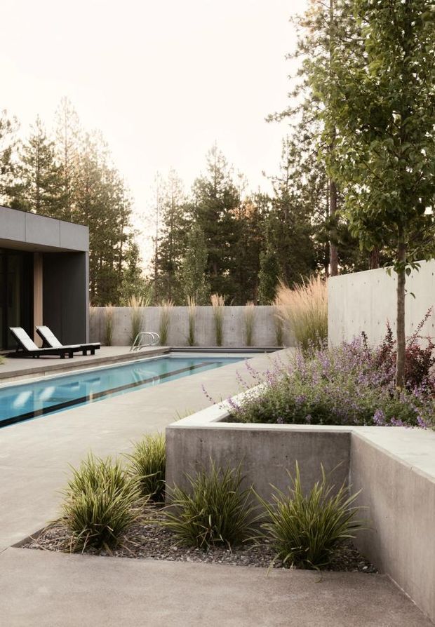 Contemporary landscaped pool courtyard with a long narrow swimming pool, pale concrete paving, raised concrete planter beds, ornamental grasses and purple flowering plants. A dark minimalist pool pavilion with lounge chairs sits to the left, while mature trees and rendered boundary walls create a private wooded setting.