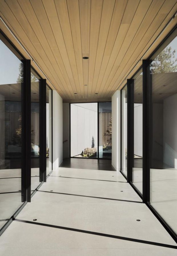 A minimalist, light-filled glazed corridor or entry passage with full-height black-framed glass walls and doors on both sides, opening toward a small landscaped courtyard. The passage has a pale smooth floor, white walls, and a warm timber-lined ceiling with recessed downlights. Strong linear perspective, reflections, and crisp sunlight create a refined contemporary architectural character.