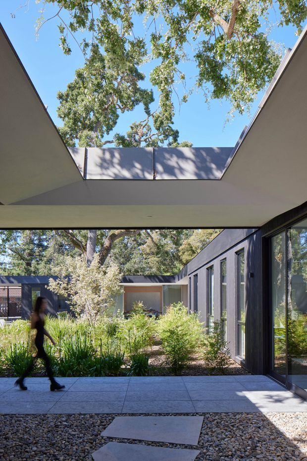 A contemporary single-storey courtyard residence viewed from a covered outdoor walkway. The composition features a dramatic open roof courtyard framed by projecting flat roof planes, dark-framed floor-to-ceiling glazing, pale rendered walls, and a landscaped garden with established trees and grasses. Large square paving slabs and a pebble garden surface create a restrained, modern connection between the interior and courtyard.