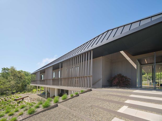 A contemporary single-storey building exterior viewed from a landscaped approach. The structure has a long, low form with a steeply angled metal roof, dark soffits, pale timber or wood-toned wall cladding, vertical screening battens, broad glazed openings, and a covered entry terrace. Broad gravel steps and planted landscaping lead toward the entrance.