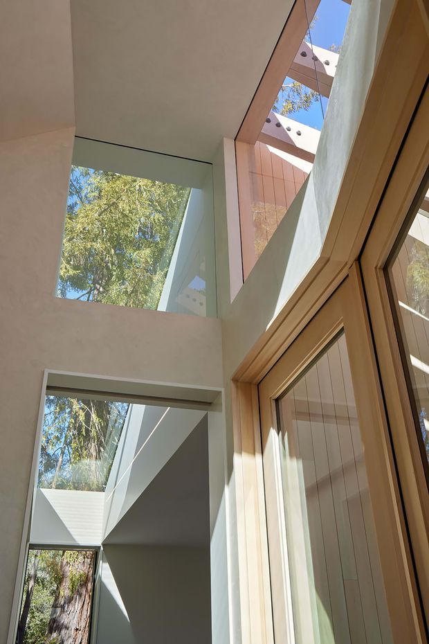 Vertical architectural interior view focused on a tall glazed circulation space or entryway. Pale plaster walls, extensive floor-to-ceiling glazing, warm timber-framed doors and windows, and strong angular daylight create a light-filled, double-height composition. Exterior trees and a geometric structural canopy are visible through the glazing.