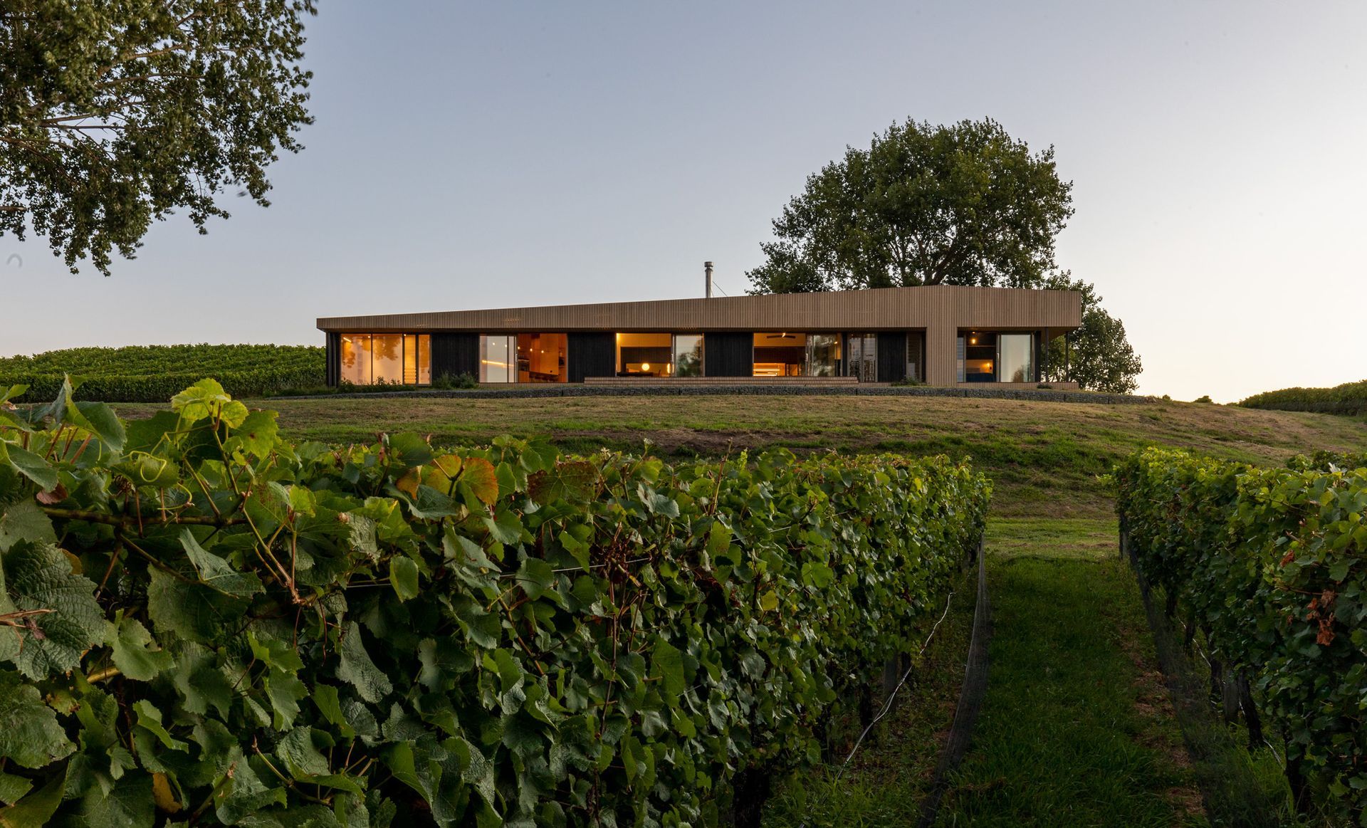 Black Beech House