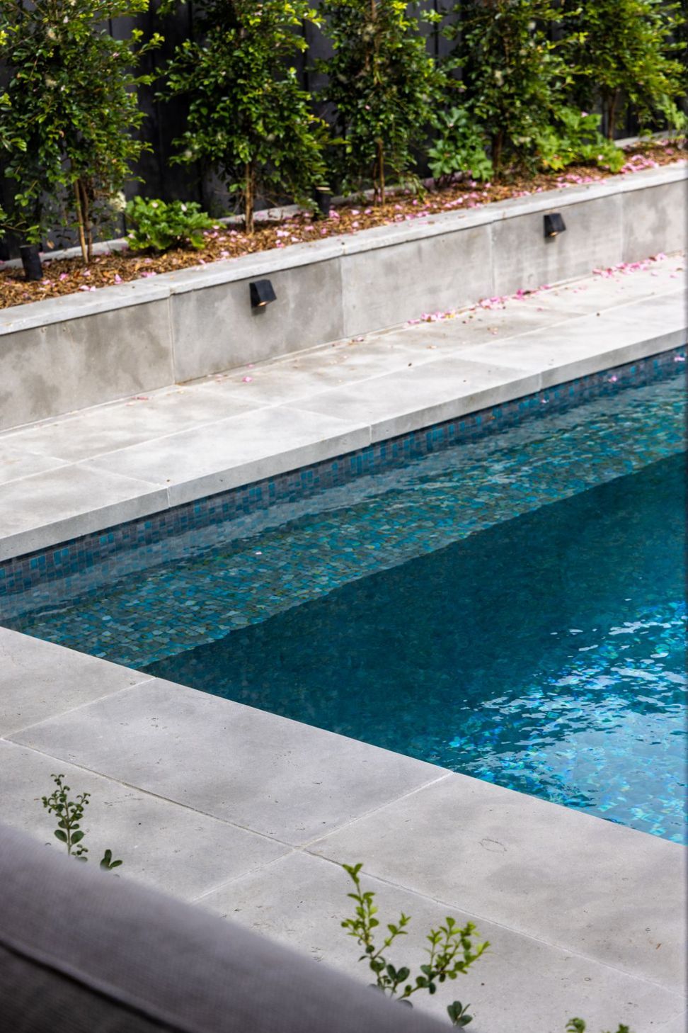 Bellevue Hill