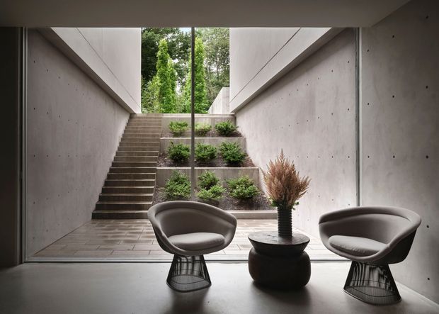 A minimalist concrete interior lounge or entry space opens directly onto a sunken landscaped courtyard. Two sculptural upholstered lounge chairs with wire bases sit beside a dark round planter, while broad concrete stairways and tiered planting lead upward through a glazed opening. The space has strong linear geometry, exposed concrete walls, subdued neutral tones, and abundant filtered natural light.