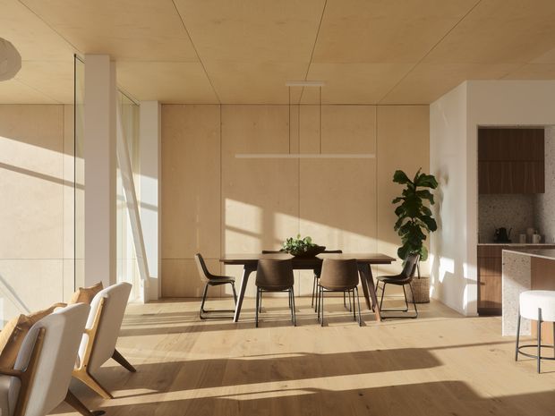 Warm, minimalist open-plan dining area with a timber-lined ceiling and walls, pale timber flooring, and a simple dark dining table surrounded by contemporary chairs. Strong low-angle sunlight casts long shadows across the room. A compact kitchen with light cabinetry and a stone-look benchtop is visible through the opening at right, while full-height glazing and a tall indoor plant add brightness and softness.