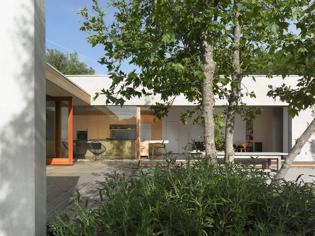 A contemporary single-storey courtyard-facing home with a broad flat roof, pale rendered walls, warm timber-framed glazing, and a timber deck. The view looks across landscaped planting toward an open-plan outdoor living area and compact kitchen, with mature trees integrated into the courtyard. Bright natural light and clean horizontal lines create a relaxed indoor-outdoor setting.