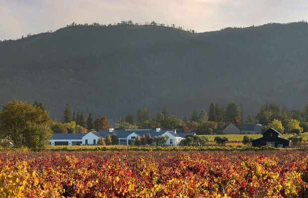 A rural vineyard landscape in autumn, with vivid red, orange and yellow vines in the foreground, a small cluster of low modern and traditional buildings in the midground, and densely forested hills behind. The scene is photographed in soft, warm light.