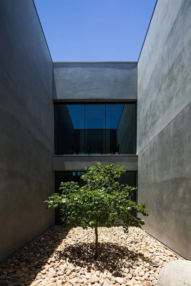 A narrow enclosed courtyard between tall dark concrete or plaster walls, surfaced with pale rounded river stones and centered on a small leafy tree. A glazed upper-level opening and bridge-like concrete element connect the surrounding structure, with open sky above. The image has a minimalist, starkly geometric architectural character with strong sunlight and deep shadows.