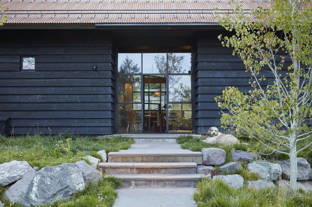Front exterior of a dark-clad, single-storey building with a corrugated metal pitched roof, large central glazed entry, timber steps, natural stone landscaping, and established planting. The facade has horizontal dark weatherboard-style cladding and a strong connection to the landscaped approach.