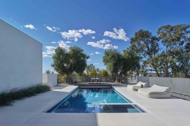 A minimalist contemporary backyard pool area under a clear blue sky. A rectangular in-ground swimming pool is surrounded by pale concrete paving, white rendered walls and corrugated metal fencing. Sculptural white outdoor lounge seating sits to one side, with established trees beyond the boundary.