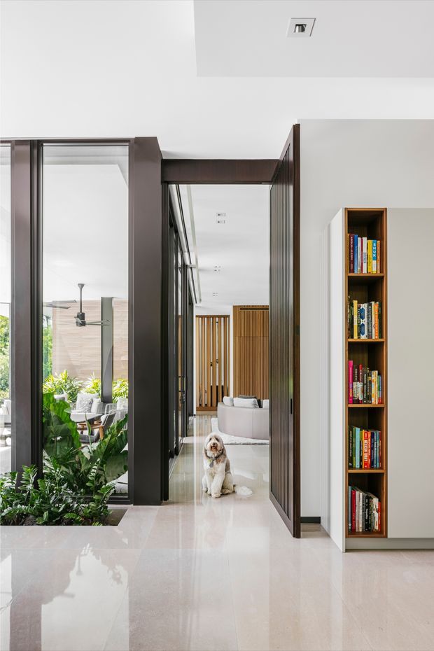 A bright, contemporary interior hallway with polished pale flooring, white walls and ceiling, dark timber-framed glazed doors, and a full-height built-in timber bookshelf. The hallway opens toward a living area with white seating and a vertical timber screen, while lush indoor planting is visible beside the glazing. A small dog is present in the corridor.