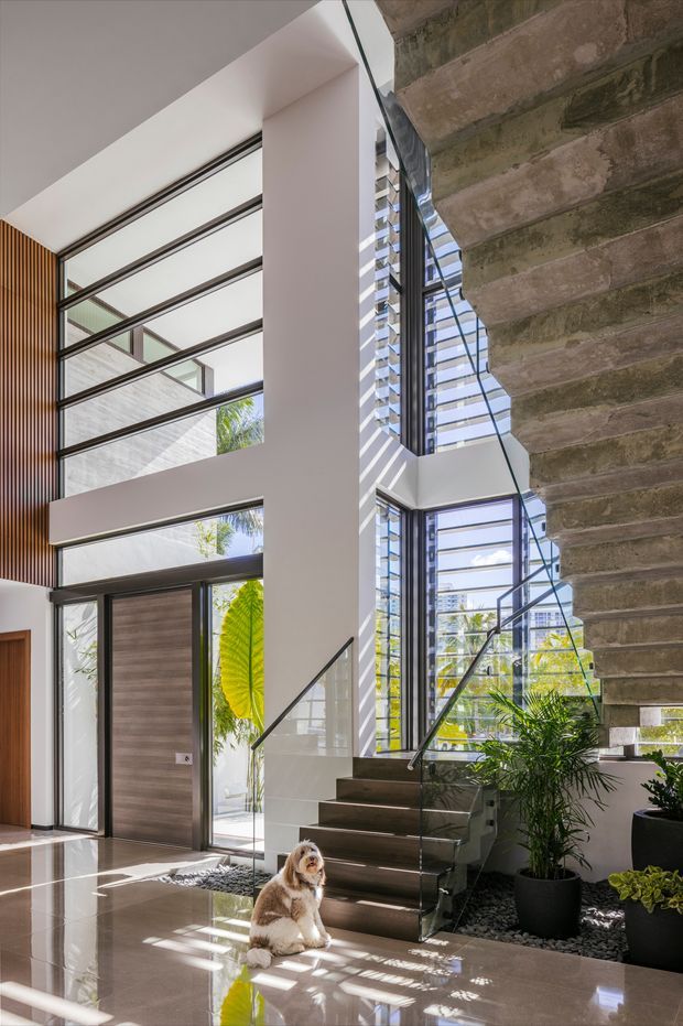 A bright, double-height residential entry hall with a sculptural staircase, frameless glass balustrade, expansive black-framed glazing, polished pale stone flooring, and a textured exposed concrete feature wall. Vertical timber slats line one wall, while indoor palms and pebble landscaping soften the contemporary interior. Strong sunlight creates patterned shadows across the floor; a small dog sits at the base of the stairs.