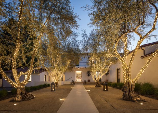 A dusk courtyard approach to a low-rise building, with a central paved walkway leading to a brightly lit entrance. Mature sculptural trees line both sides of the path and are wrapped in warm white string lights, creating a symmetrical, atmospheric arrival space. White stucco walls, dark roof edges, planted borders, and subtle ground lighting reinforce the refined outdoor setting.