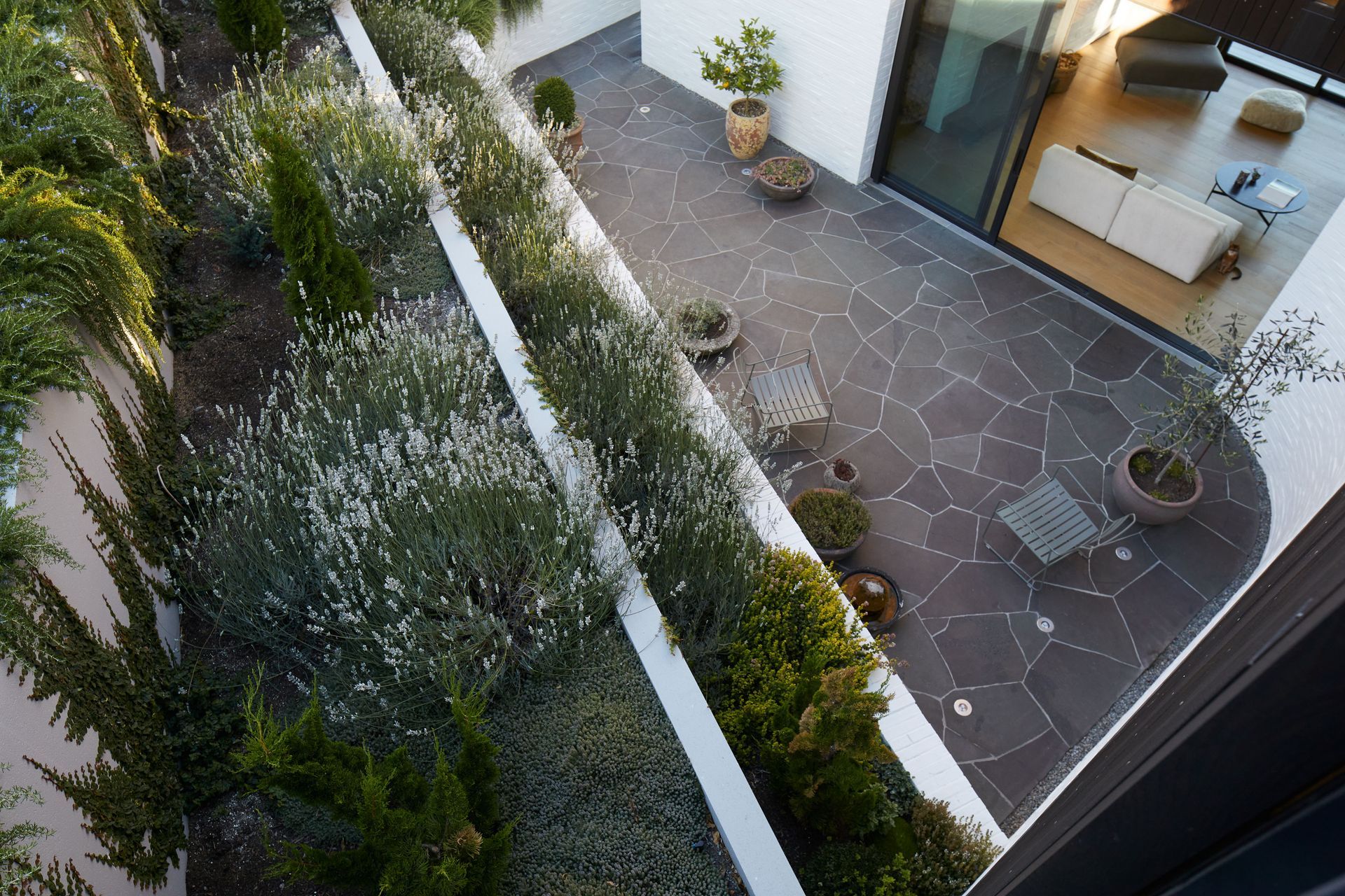Sunrise-Lane-HouseCourtyardSarah-Rowlands7.jpg