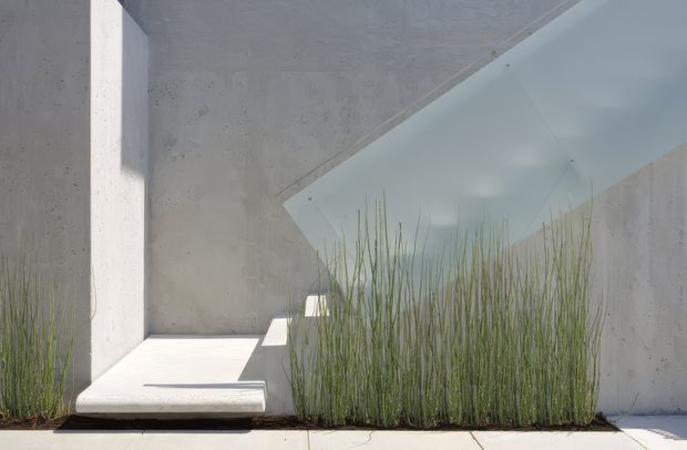 Minimalist architectural detail featuring pale raw concrete walls, a projecting concrete bench or ledge, and a large reflective glazing or mirror-like surface. Tall ornamental grasses soften the hard geometric forms, while strong sunlight creates sharp shadows and an airy, sculptural composition.