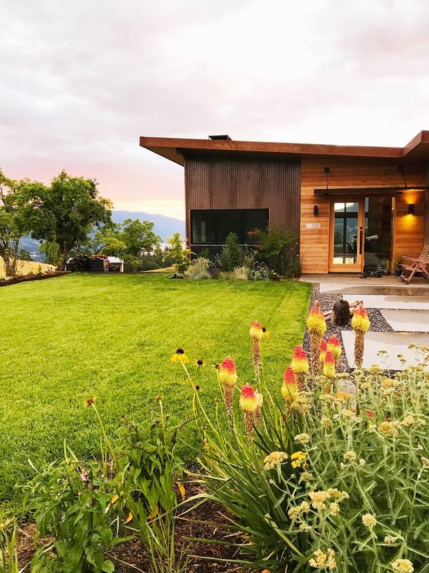 A modern single-storey timber-clad house viewed from its landscaped front garden. The home has a low-slung flat or very shallow pitched roof with broad timber fascia, warm horizontal timber cladding, a dark vertically textured feature wall, large dark glazing, and a recessed entry with concrete stepping slabs. A broad lawn and native-style planting occupy the foreground, with distant hills visible beyond the property.