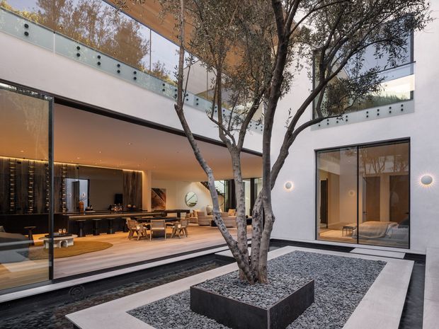 A sophisticated contemporary courtyard viewed from an open-plan interior. Mature multi-trunk trees grow from a raised dark stone planter surrounded by grey gravel and pale paving, with a narrow linear water feature along the glazed living and dining area. Floor-to-ceiling sliding glass doors, smooth white plaster walls, dark-framed glazing, warm timber soffits, and a visible bedroom beyond create a refined indoor–outdoor connection.
