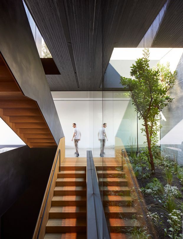 Interior architectural photograph of a contemporary stairway and landing. A broad timber staircase rises beneath a dark linear timber-clad ceiling, with black and timber handrails and a central dark balustrade. Full-height glazing separates the stair from an internal planted courtyard, bringing strong daylight into the circulation space. Exposed concrete or plaster walls and layered reflections add depth.