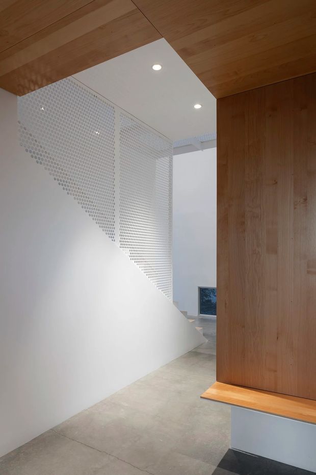 A minimalist interior hallway or circulation space with a polished concrete floor, white plaster walls, and a sculptural perforated white stair balustrade or screen. Warm timber cladding spans the ceiling and continues onto a large built-in wall or joinery element at right, with a timber bench projecting from its base. Recessed downlights provide subtle illumination, and a stairway is visible beyond the partition.