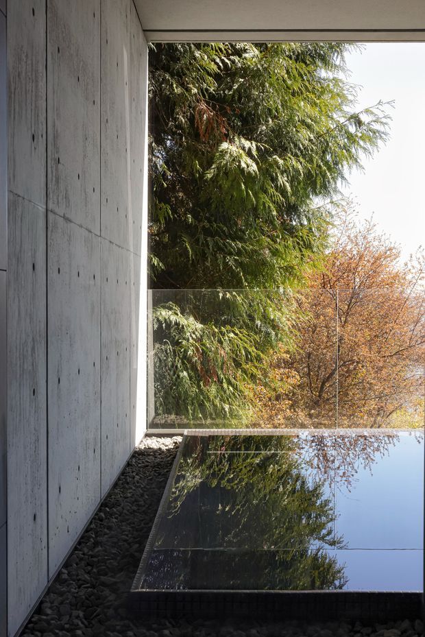 A minimalist architectural detail showing a tall raw concrete wall beside a large frameless glazed opening and a dark reflective water surface or polished feature plane. Dense trees and autumn foliage are visible beyond and reflected in the surface, creating a strong indoor–outdoor connection. The composition is vertical, quiet, and highly geometric, with a restrained palette of grey concrete, black, green, and warm amber foliage.