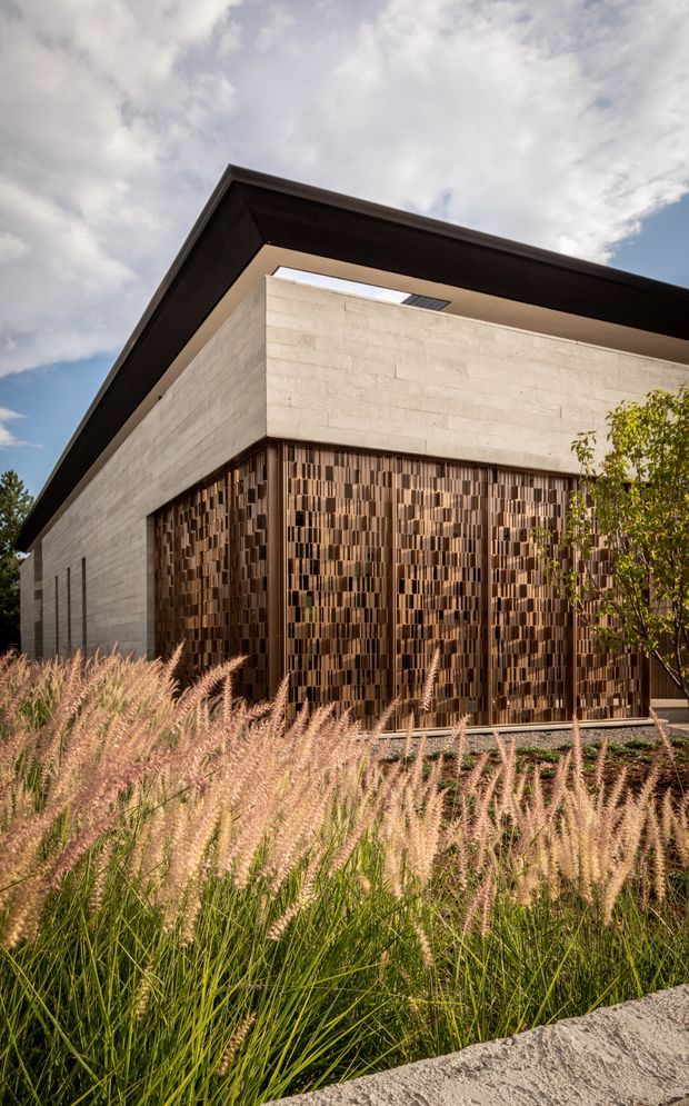 Exterior architectural photograph of a contemporary single-storey building with a strong cantilevered dark roof edge, pale horizontal masonry walls, and a prominent patterned timber or metal screen facade in warm brown tones. The building is set within landscaped ornamental grasses and planting, viewed from a low angle beneath a partly cloudy sky.