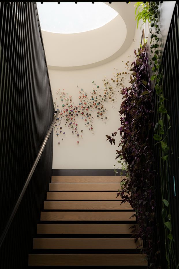 A dramatic interior stairway viewed from below, with floating timber treads enclosed by dark vertical slatted walls. A lush vertical garden climbs the right side, while a large elliptical skylight brings soft daylight into the stairwell. The rear wall features a colourful abstract circular installation, creating a contemporary architectural focal point.