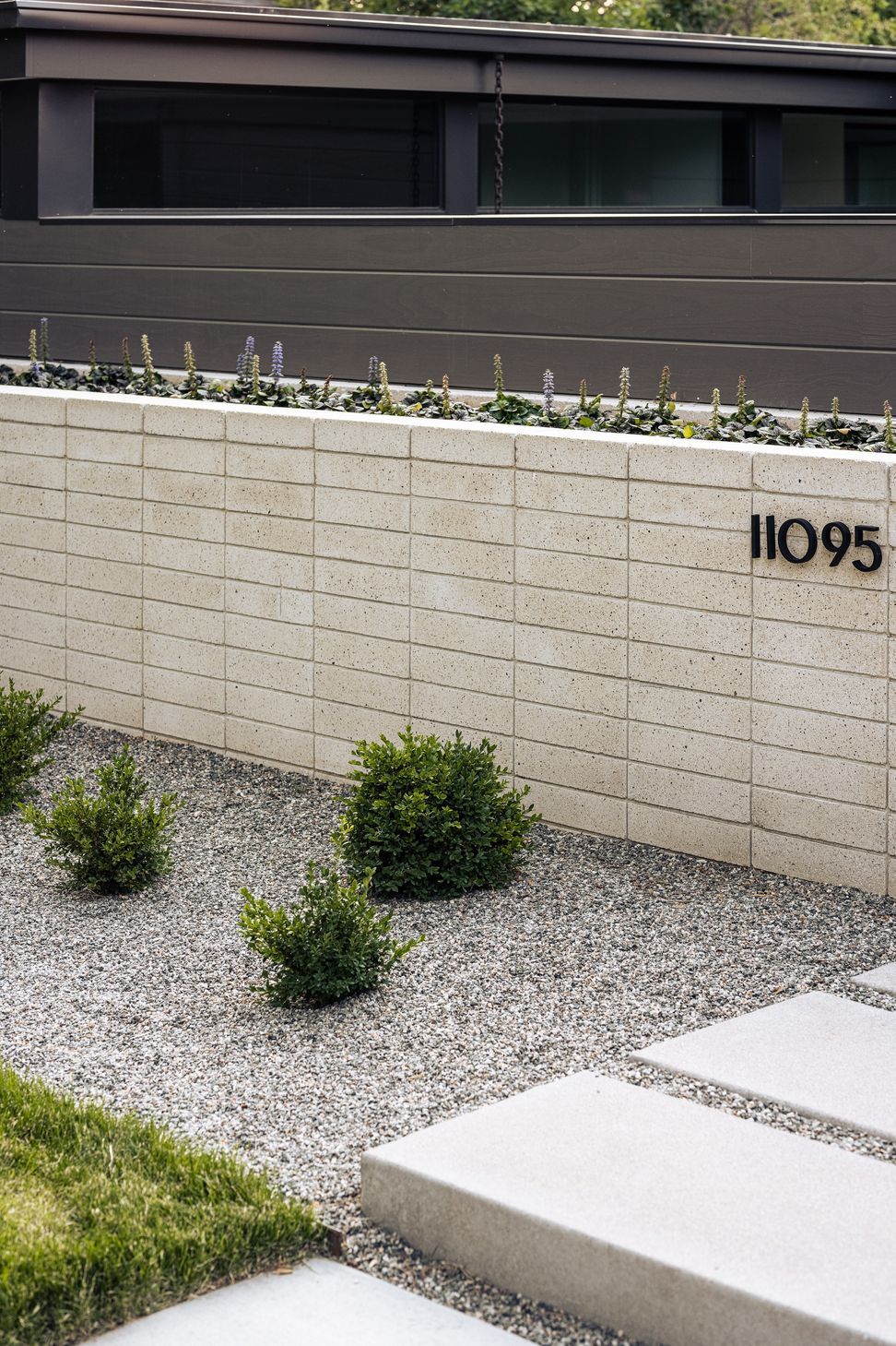 imgi5911DSF4624-ap-compressed.jpg