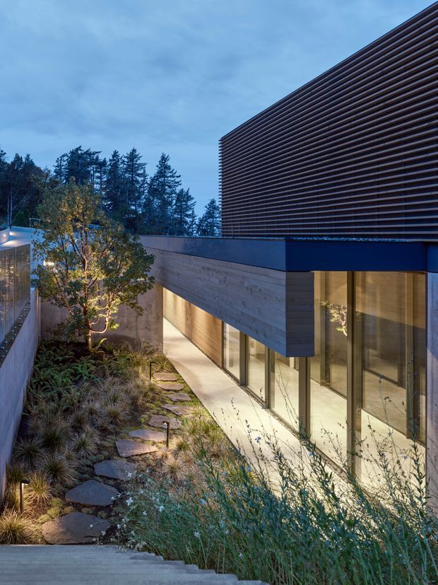 Twilight exterior view of a contemporary multi-level residence set into a landscaped sloping site. The building features a horizontal timber-look louvred upper facade, dark metal trim, exposed concrete or pale masonry walls, and extensive floor-to-ceiling glazing. A narrow planted courtyard and stepped stone walkway lead alongside the illuminated ground-floor interiors.