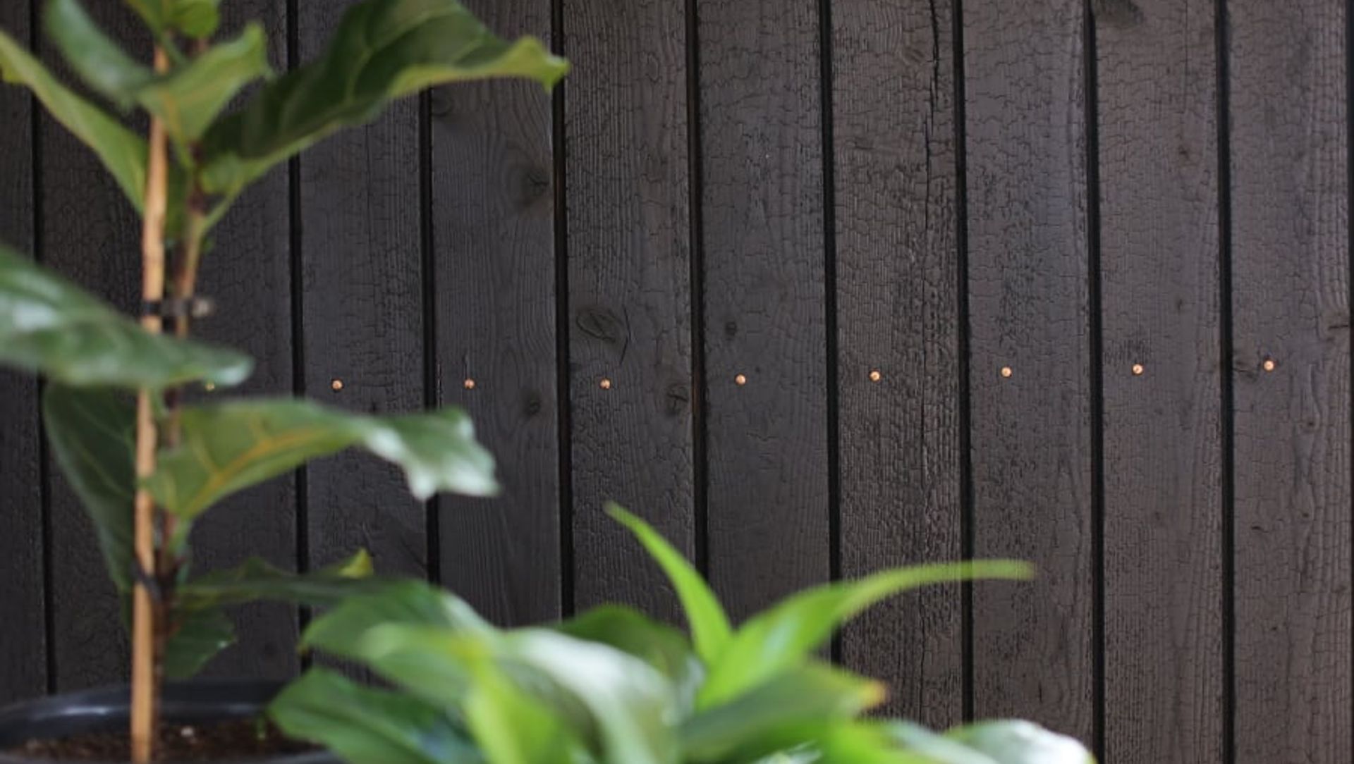 Interiors banner