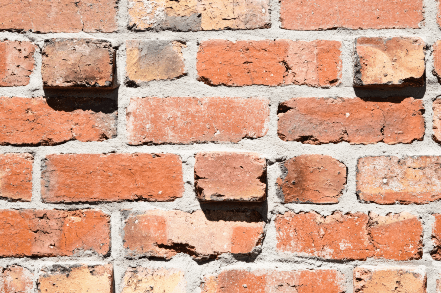 upupPorterVic009-scaled-fix-standard-scale-150x-fix-standard-scale-050x.png