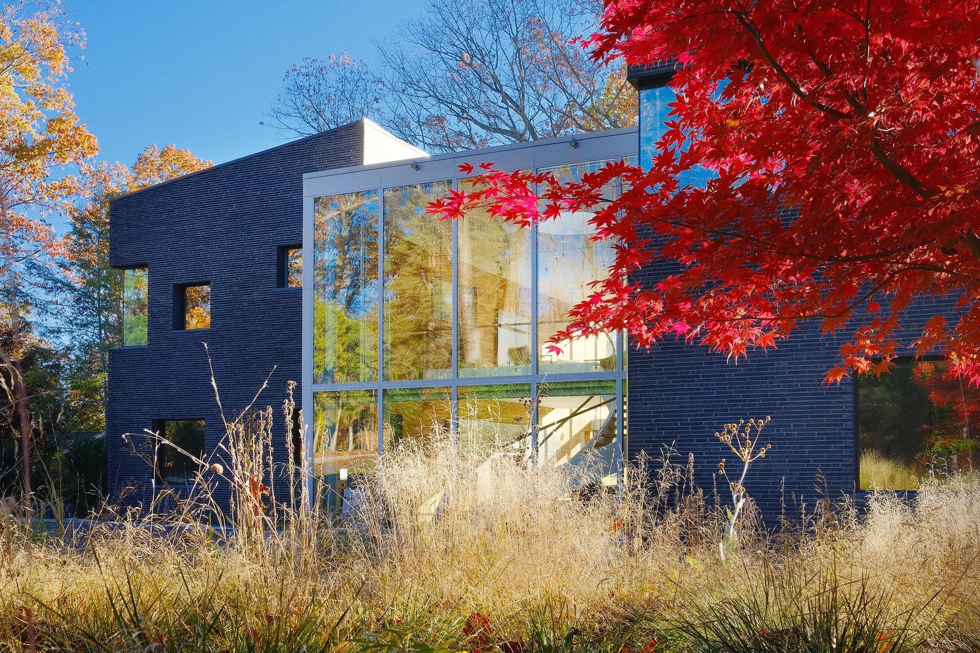 StudioPHHArchitects-LaClairiereAndrewZientek-LandscapeFront.jpg
