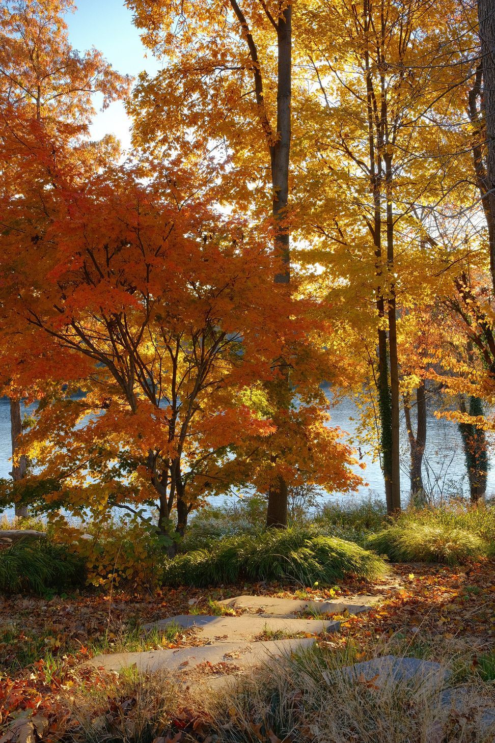 StudioPHHArchitectsLaClairiereAndrewZientek-LandscapetoLake.jpeg