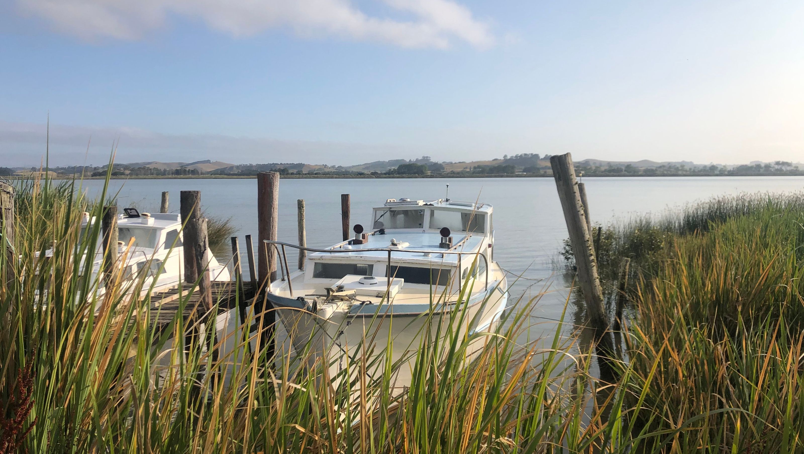 Kaipara Wharves Study
