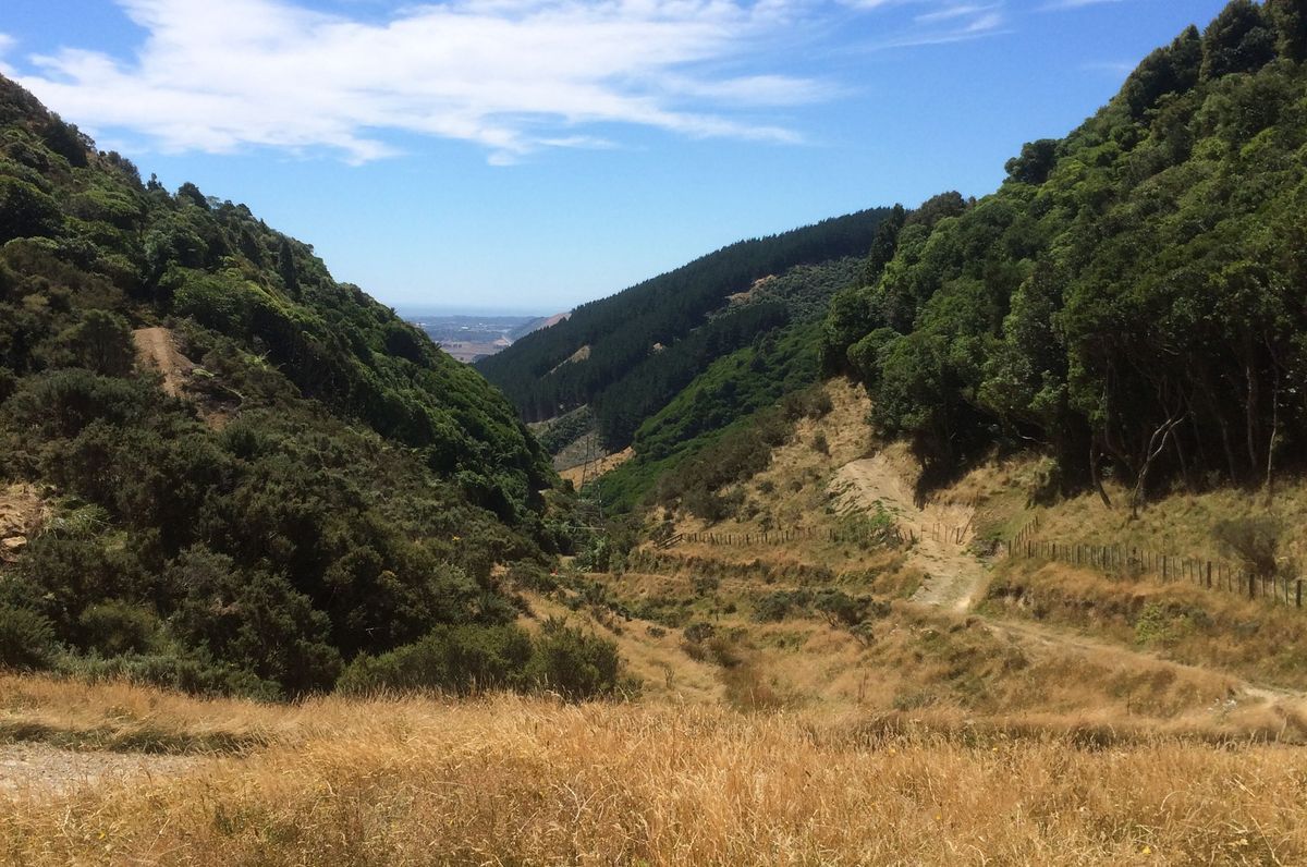 Transmission Gully