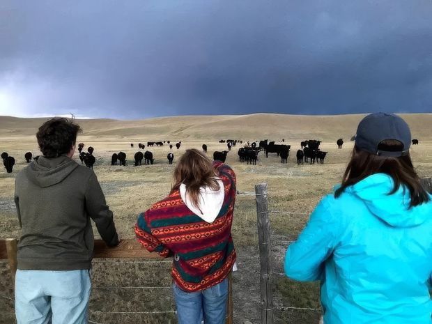 A rural outdoor scene viewed from behind three people standing at a timber-and-wire fence, looking across a dry rolling pasture populated by a herd of cattle beneath a dramatic dark cloudy sky.
