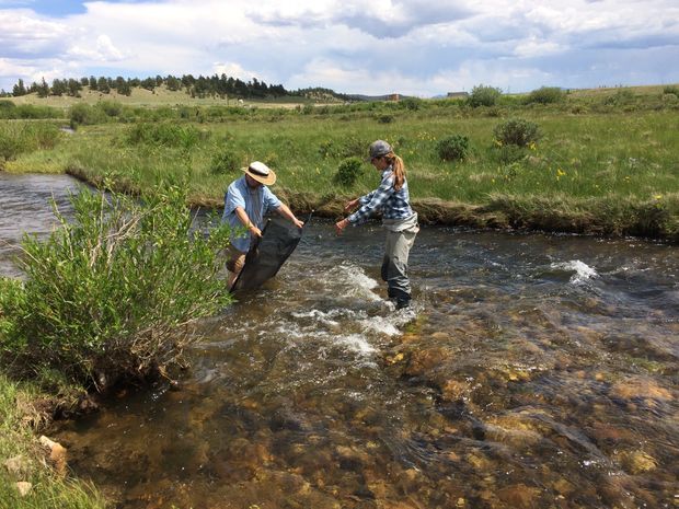 Two people wading through a shallow, clear stream in a broad grassy rural landscape. The image shows rocky riverbed, rippling water, shrubs and open meadow under a partly cloudy sky. No building or interior space is visible.
