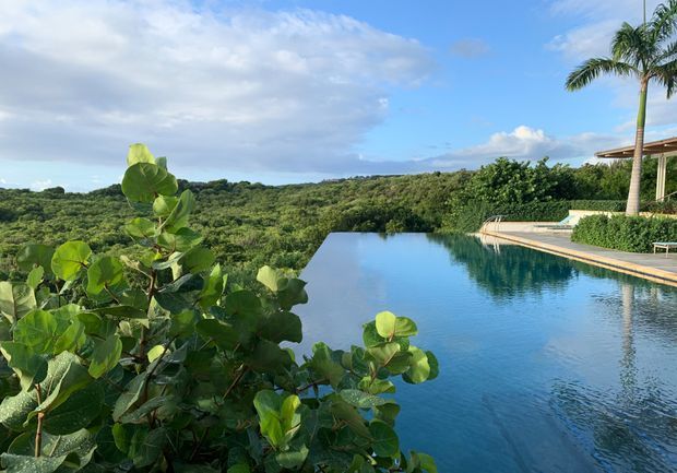 A tranquil tropical infinity pool overlooks dense green vegetation and rolling terrain. The pool occupies the foreground and reflects the blue sky, while a partially visible modern pavilion with a shallow roof and slender columns sits along the right edge. Palm trees and broad-leaved coastal planting frame the scene.