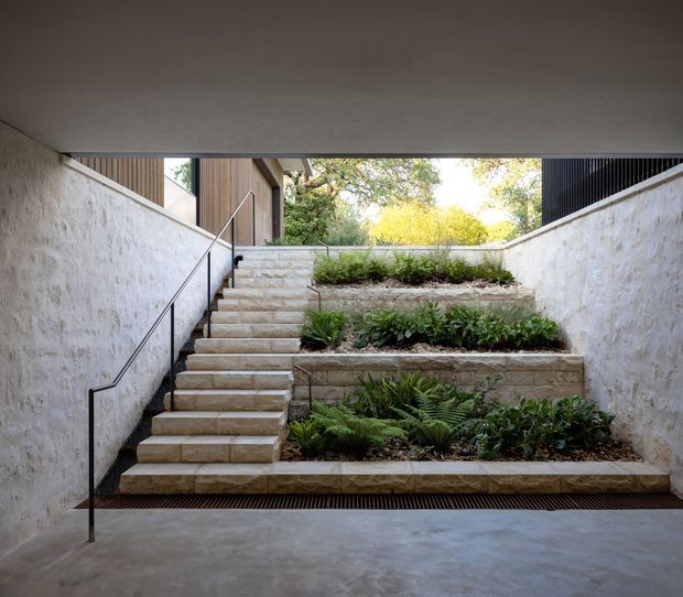 A refined sunken entry courtyard with a central flight of pale stone steps leading upward through layered planted terraces. Rough white rendered masonry walls frame the space, with slim black metal handrails, a smooth concrete floor, timber wall cladding and dark vertical screening visible at the upper level. Ferns and dense green planting soften the architectural composition, while daylight filters in from the open roofline.