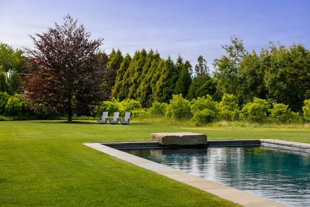 A landscaped outdoor garden with a rectangular swimming pool bordered by pale paving. The scene includes a broad manicured lawn, dense mature trees and shrubs, a large stone-like pool feature, and outdoor lounge chairs. The composition is serene and spacious, photographed in bright natural daylight.