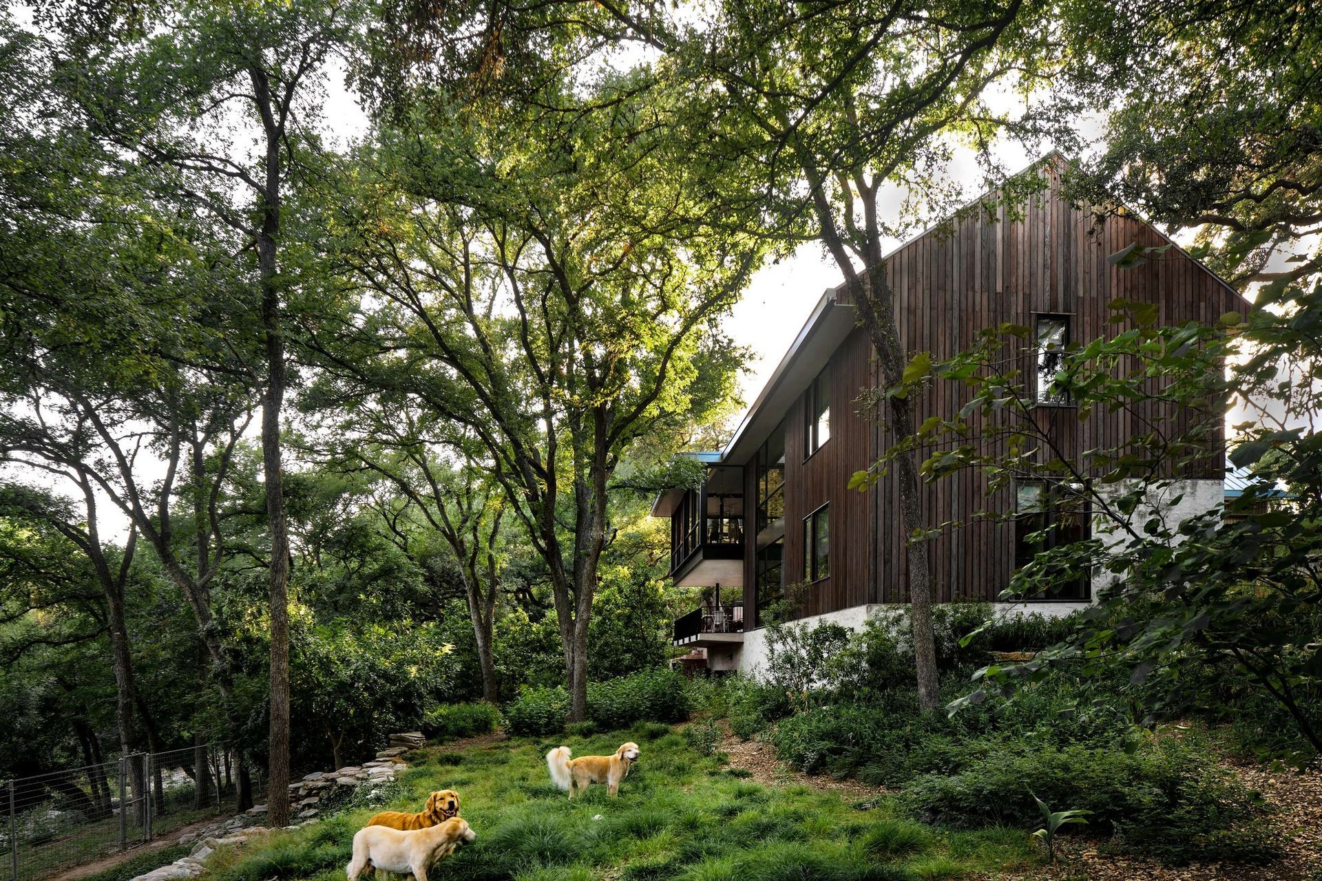 27Belmont-ParkCuppett-Kilpatrick-Architecture-and-Interior-Designaustin-tx-creek-cantilever-wood-siding-v3.jpg