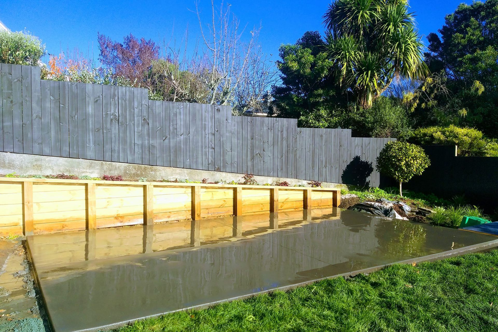 Tasman Views