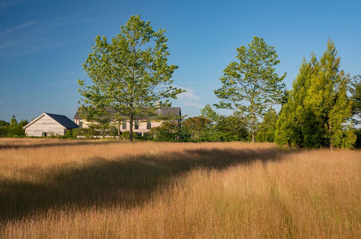 Hayground
